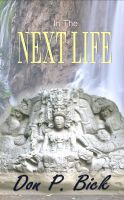 Cover for 'In The Next Life'
