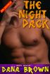The Night Pack (Erotic Gay Story Bundle!) by Dana Brown