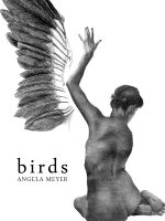 Cover for 'Birds (short story)'