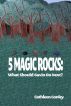 5 Magic Rocks: What Should Gavin Do Next? by Cathleen Conley