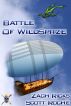 The Battle of Wildspitze by Scott  Roche