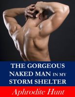 Cover for 'The Gorgeous Naked Man in my Storm Shelter (Erotic Suspense)'