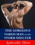 The Gorgeous Naked Man in my Storm Shelter (Erotic Suspense) by Aphrodite Hunt