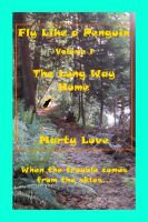 Cover for 'Fly Like a Penguin, Volume 1, The Long Way Home'