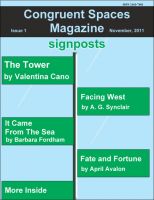 Cover for 'Congruent Spaces Magazine, Issue 1'