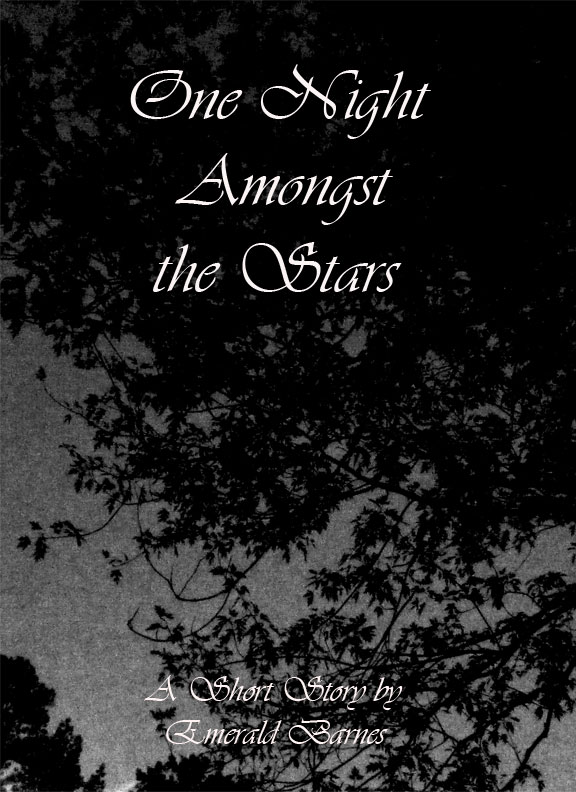 One Night Amongst the Stars