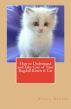 How to Understand and Take Care of Your Ragdoll Kitten & Cat by Vince Stead