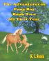 The Adventures of Pony Boy Book Two: My First Year by K. L. Stock