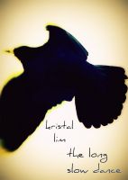 Cover for 'The Long Slow Dance'
