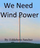 Cover for 'We Need Wind Power'
