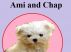 Ami and Chap by Monica P