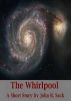 The Whirlpool by John R Sack