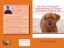 Have Fun Training and Understanding your Dogues de Bordeaux Puppy & Dog by Vince Stead