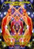 Home Viewer's Movie Guide: The Net Results of Erotic Obsession by Robert Cettl