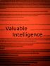 Valuable Intelligence by J.R. Martin