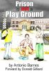 Prison is Not a Play Ground by Antonio Barnes