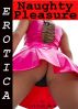Erotica: Naughty Pleasure, Tales of Sex by Lillian Snow