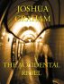 The Accidental Rebel by Joshua Graham