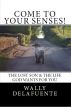 Come To Your Senses! - The Lost Son & The Life God Wants For You by Wally De La Fuente