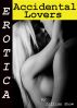 Erotica: Accidental Lovers, Tales of Sex by Lillian Snow