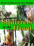 Squirrels in the Hood by Lisa Maliga