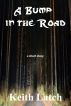 A Bump in the Road by Keith Latch 