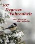 107 Degrees Fahrenheit by Barry Rachin
