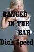 Banged In The Bar by Dick Speed