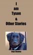 I am Tyson & Other Stories by Raja Sharma 