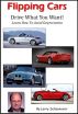 Flipping Cars by Larry Schoonover