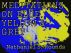 MEDITATIONS ON BLUE, YELLOW AND GREY by Nathaniel S. Rounds by Fowlpox Press