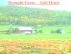 Brought Farm - Sold Heart by Monica P