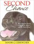 Second Chance: How Adoption Saved A Boy with Autism & His Shelter Dog by Sandra Gerencher
