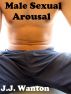 Male Sexual Arousal by J.J. Wanton