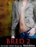 Bred 2 (An Erotic Short Story) by Soichiro 