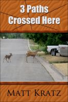 Cover for '3 Paths Crossed Here'