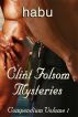 Clint Folsom Mysteries Compendium Vol 1 (Gay Erotica/Gay Murder Mysteries) by Habu 