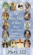 The Many Faces of Mary Book II Part III by Bob and Penny Lord