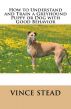 How to Understand and Train a Greyhound Puppy or Dog with Good Behavior by Vince Stead