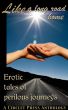 Like a Long Road Home by Circlet Press Editorial Team