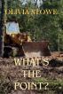 What's The Point?  (Charlotte Diamond Mysteries 5) by Olivia Stowe