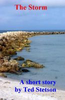 Cover for 'The Storm'