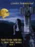 Flash Fiction Addiction 22 Short Short Stories Volume II by Garden Summerland
