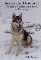 Cover for 'Kopek the Destroyer'