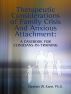 Therapeutic Considerations of Family Crisis and Anxious Attachment:  A Casebook for the Clinician-in-Training by Stephen W. Kane, Ph.D.