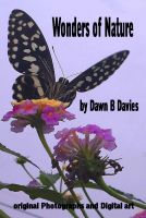 Cover for 'Wonders of Nature'