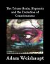 The Triune Brain, Hypnosis and the Evolution of Consciousness by Adam Weishaupt