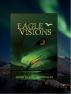 Eagle Visions by Cindi Summerlin