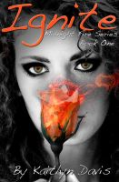 Cover for 'Ignite (Midnight Fire Series Book One)'