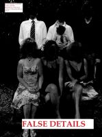 Cover for 'False Details'